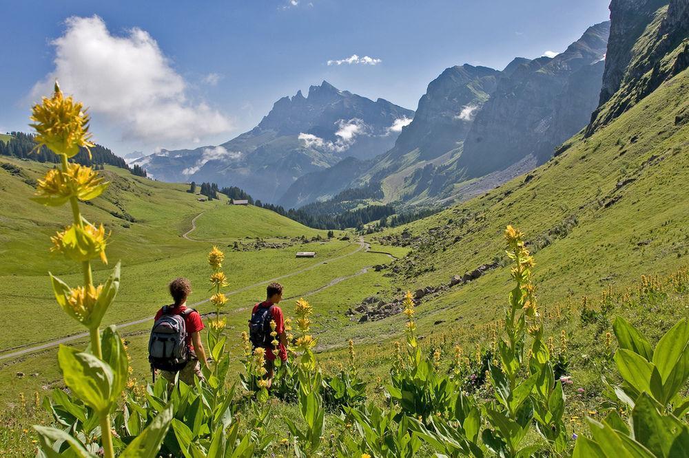 Hotel National Resort & Spa Champéry Eksteriør bilde